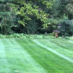 Landscaping in South Jersey